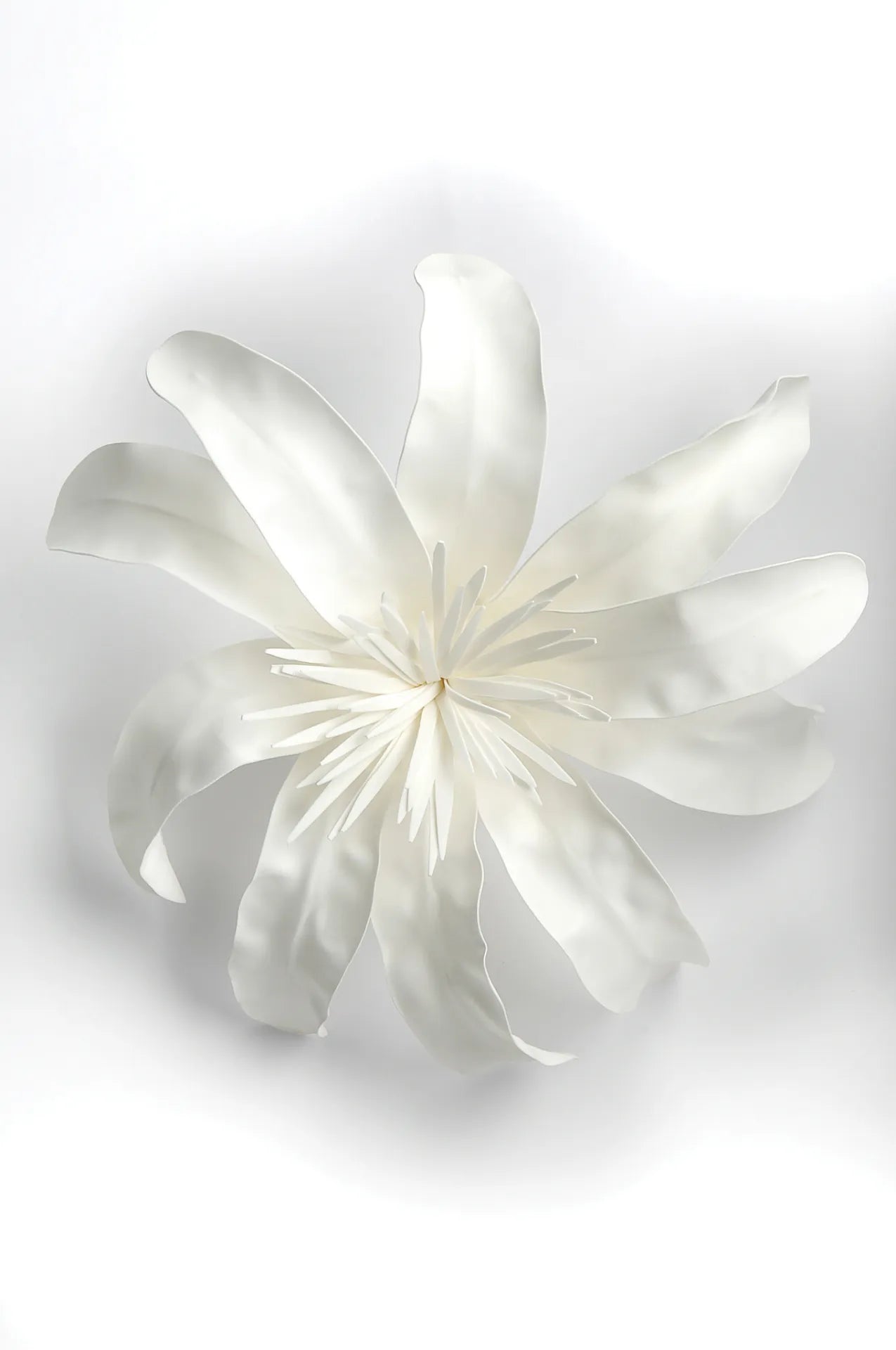 Tiare Flower - White