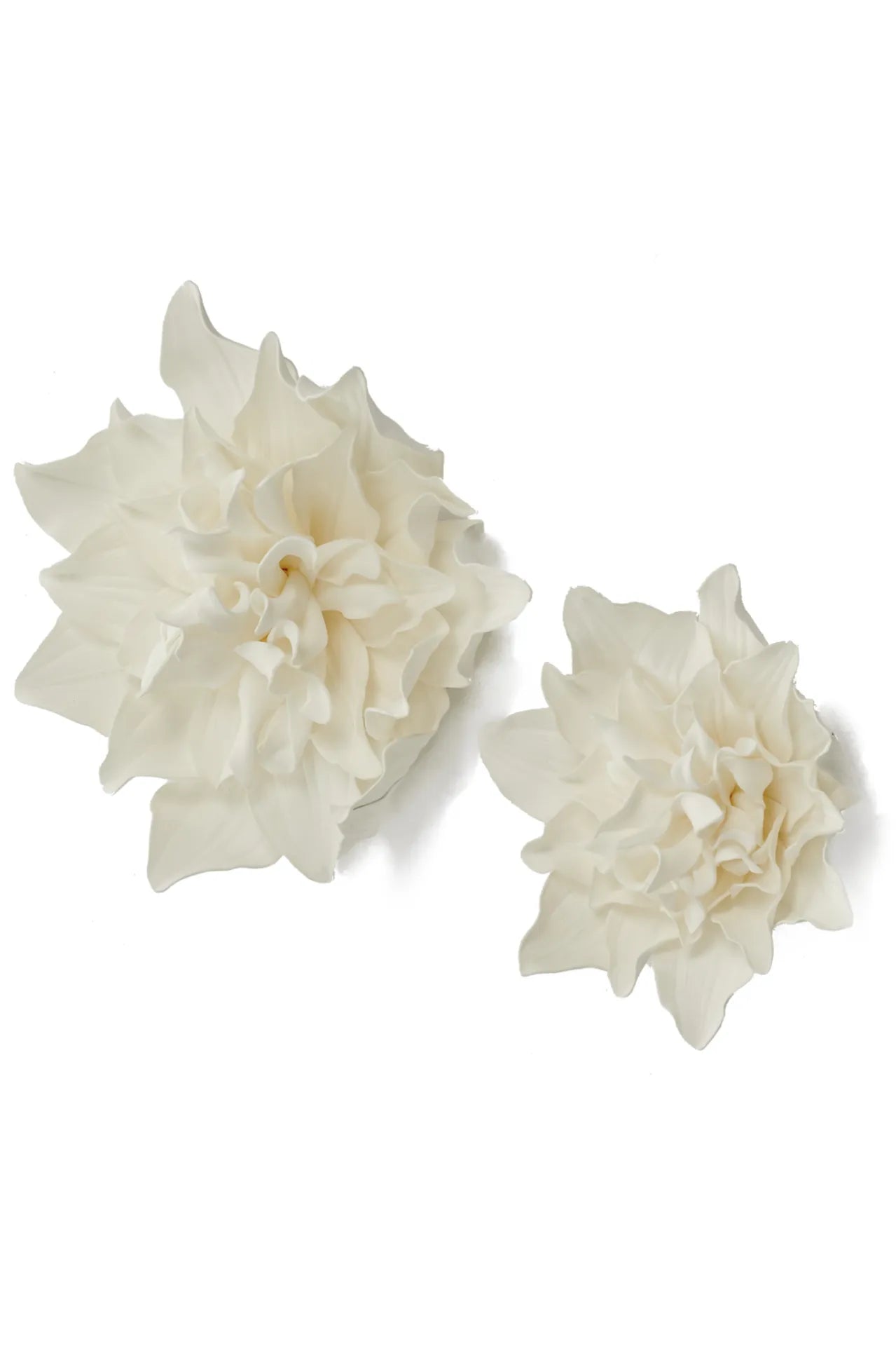 Dahlia Head Flower - White